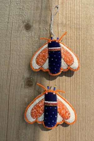 Bug Orange & White