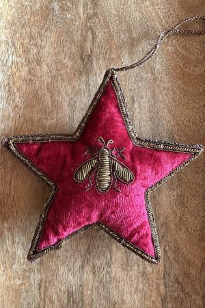 Star Red Bee