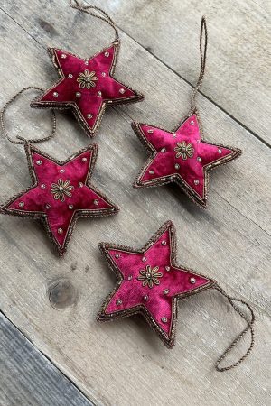 Star Red Flower