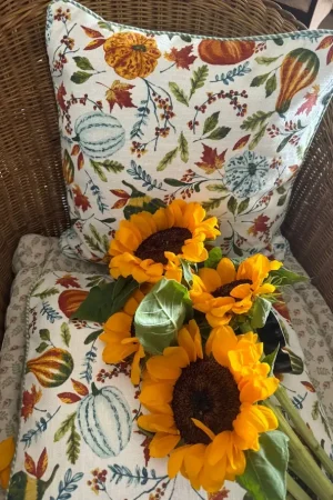 Pumpkin Love