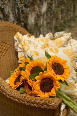 Yellow Hydrangeas
